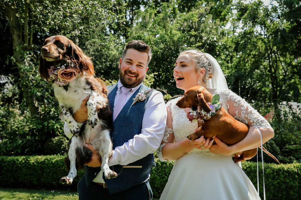 bride & groom with pet dogs on their wedding day